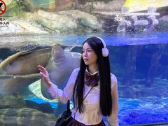 -合肥海洋世界