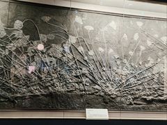 -柳州白莲洞洞穴科学博物馆