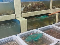 水产区-王潮活海鲜自助·蒸汽海鲜