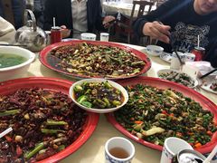 -东吴霸王兔(松青路店)
