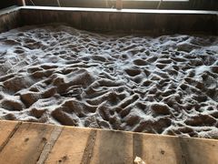 -陆地游轮吉林神农温泉