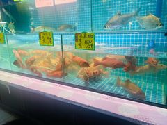 -石岐乳鸽村(南海第三分店)