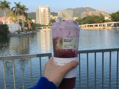 -奈雪的茶(大梅沙8号仓店)