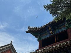 -洛阳白马寺