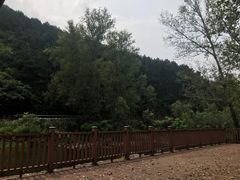 -雾灵西峰