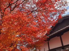 -常寂光寺