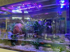 -内蒙古自治区国际蒙医医院(总院)