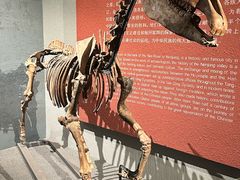 -齐齐哈尔市博物馆