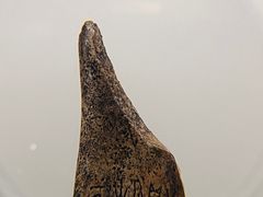 -深圳博物馆(古代艺术馆)