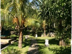 花园-飞鱼&摩娜潜水度假村