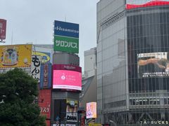-涩谷区