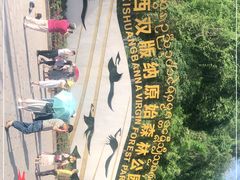 -西双版纳原始森林公园