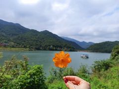 -武汉姚家山旅游景区