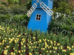 -南宫五洲植物乐园