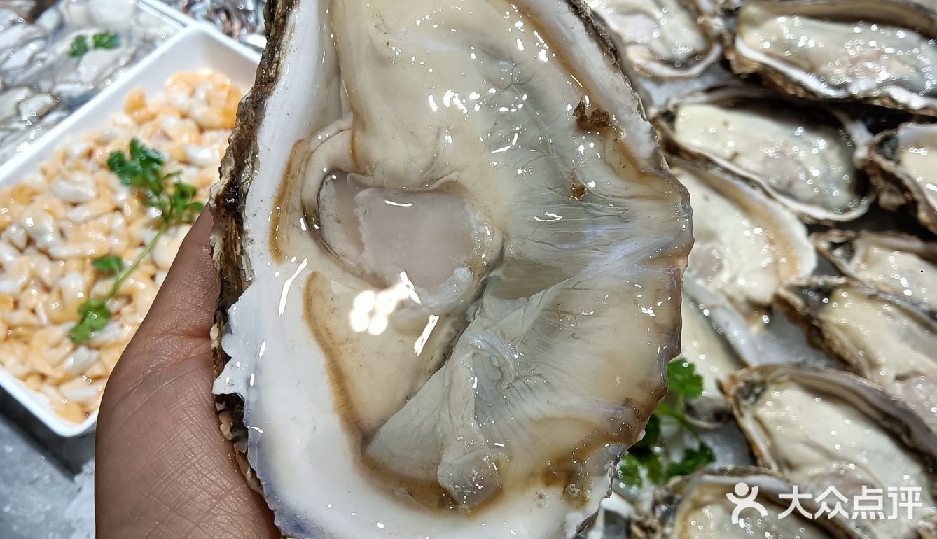 吃货日记：今天尝鲜生蚝