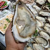 吃货日记：今天尝鲜生蚝