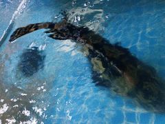 -老班长大酒店(海关大楼店)