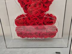 -ROSEONLY诺誓(广州K11店)