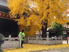 -上海青龙寺