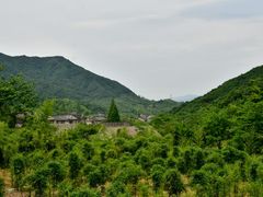 -会稽山峡洞漂流-上青古道