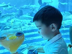 -亚特兰蒂斯•OSSIANO奥西亚诺海底餐厅