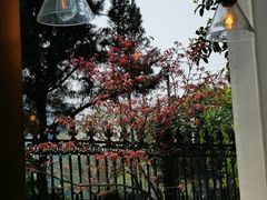 -MAISON门前杂货店