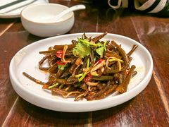 -广信传说
