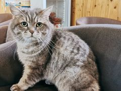 -天使咖啡(兴新街店)