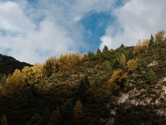 -兰拓相机租赁·二手(杭州店)