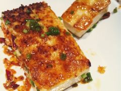 葱烧豆腐-57度湘