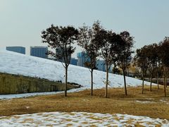 -郑东新区龙湖公共艺术中心
