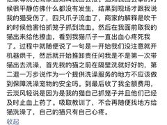 -宠物星动物医院·眼科·异宠·猫科(江南大道总院)