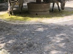 -上海动物园(地铁站)