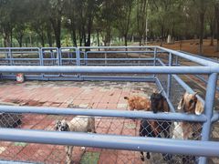 -长白岛森林公园