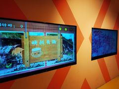 -不可思议减压馆·解压博物馆·摔碗发泄·团建定制