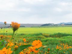 -光明小镇欢乐田园