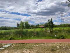 -永定河休闲森林公园