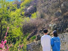 -白水寺森林公园