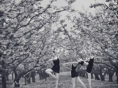 -理想国摄影(三塔店)