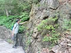 -九龙潭景区