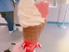 -麦当劳(欢乐谷店)