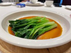 古法豉油皇灼广东菜心-富淳饭店(世纪公园店)