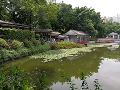 -荔湾湖公园