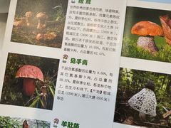 -太婆天府山珍酒楼(亚运村店)