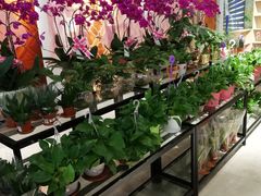 -百安居装修设计中心(海珠店)