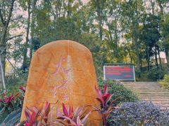 -火炉山森林公园