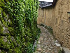 -杨家堂村