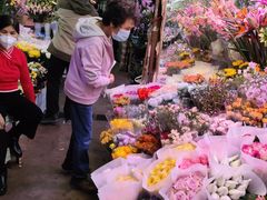 -花鸟鱼虫鲜花绿植市场(玉泉路店)