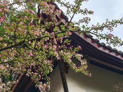 -棠湖公园