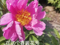 -白塘生态植物园